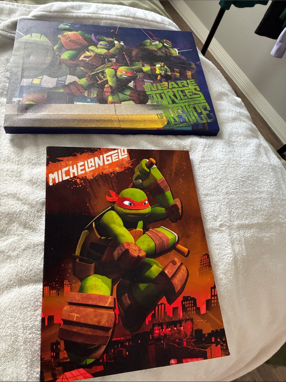 Hobby Lobby Teenage Mutant Ninja Turtles Canvas Art - Green & Red & Orange